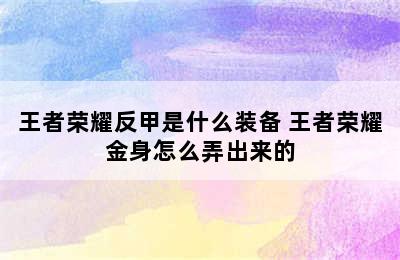 王者荣耀反甲是什么装备 王者荣耀金身怎么弄出来的